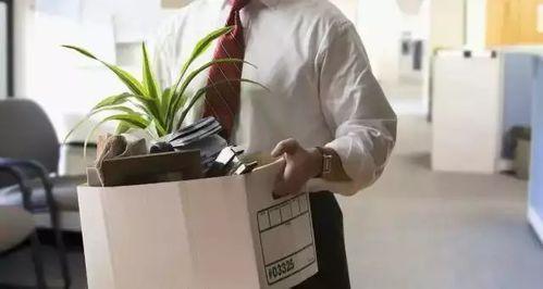 娱乐吃瓜酱辞职,揭秘背后真相与行业动态