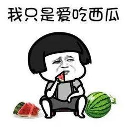 一线吃瓜娱乐圈讲了什么,一线吃瓜,揭秘明星幕后故事