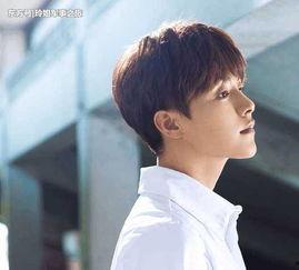 马天宇娱乐吃瓜视频大全,揭秘明星幕后生活,吃瓜视频大盘点